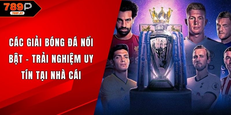 Các giải bóng đá