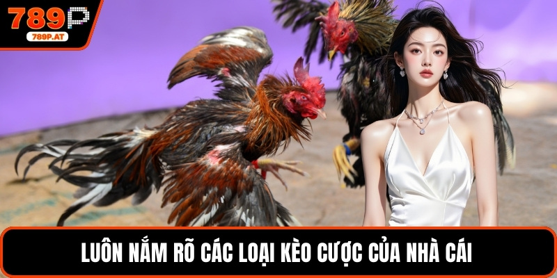 Luôn nắm rõ các loại kèo cược của nhà cái