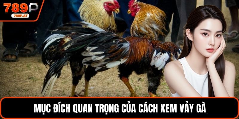 Mục đích quan trọng của cách xem vảy gà